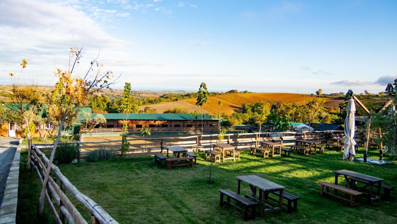 Hotel 3 Hills Boutique - The Ranch Experience Trilofos Exterior foto